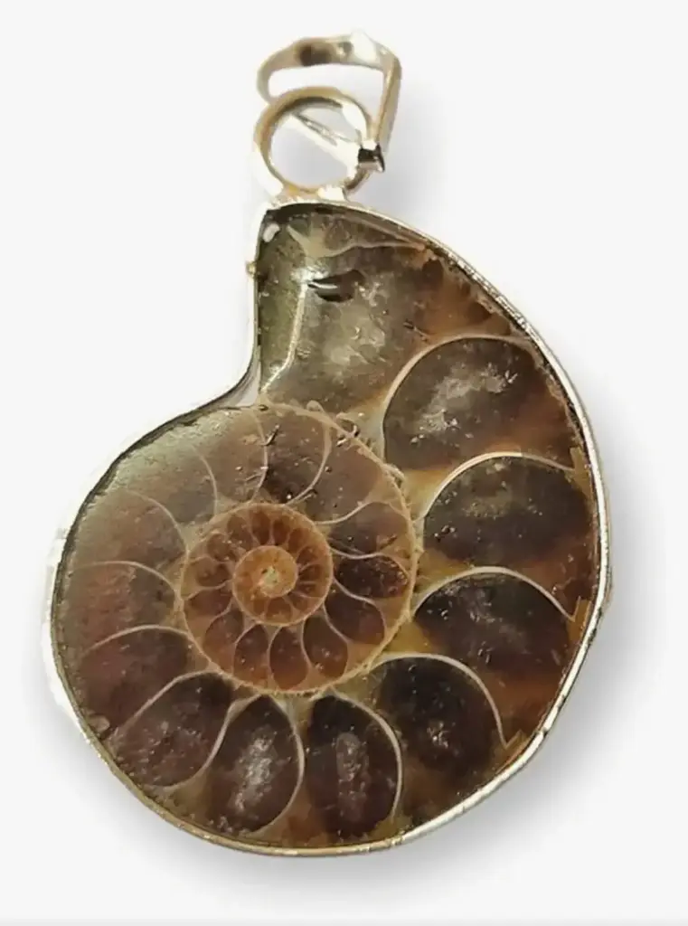 Narayan Chakra