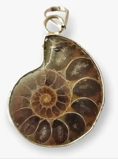 Narayan Chakra