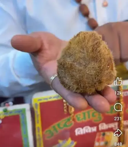 Ekacchi Nariyal